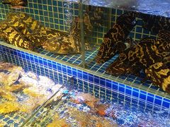水产区-必点海鲜·鲅鱼水饺(鞍山西道店)