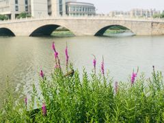 -江南大学(蠡湖校区)