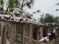 -北京世界公园