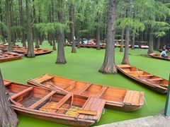 -渌洋湖湿地公园