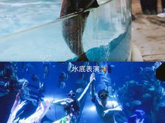 -南昌海洋公园