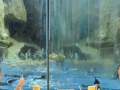 -帝企鹅自助餐厅•儿童岛•真企鹅(长隆企鹅酒店)