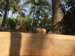 -三亚珠江南田温泉度假区