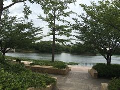 -新江湾城公园