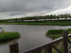 -呼兰河口湿地公园