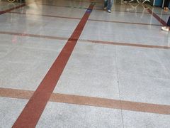 -中国人民解放军总医院第三医学中心