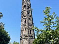 -上海佘山国家森林公园天马山园