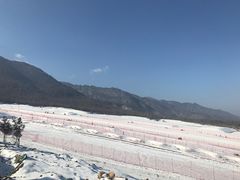 -鳌山滑雪度假区