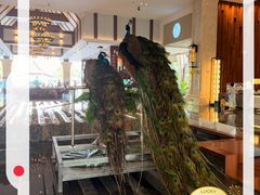 -西双版纳融创皇冠假日度假酒店
