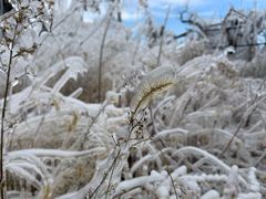 -大平台龙居瀑布旅游区