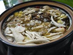 -百菇园野生菌煲(平武店)