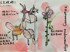 -白鹿艺术美学工作室 1 画室(MOMA校区)