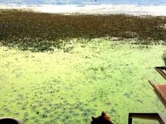 -海韵人家.海景花园经典云南菜(双廊店)