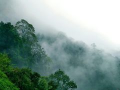 -赤水丹霞旅游区·佛光岩