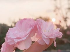 -观澜湖生态运动公社