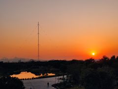 -福田红树林生态公园