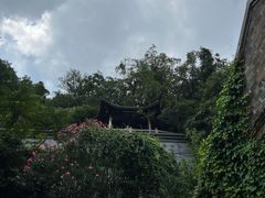 -老赵面店(大西路店)