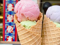-成裕雪糕店(士多店)