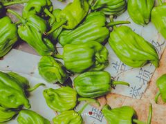 -野水沟小商品批发市场