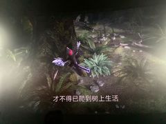 -中国科学技术馆影院