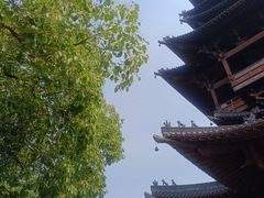 -杭州半山国家森林公园