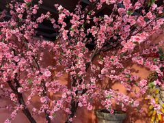 -巢爷老味(东方红店)