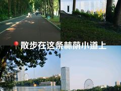 -南宁南湖公园