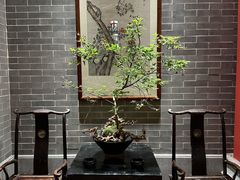 -龙悦湾酒家·八阵鱼生·渔人码头店