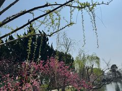 -无锡蠡湖国家湿地公园-蠡园