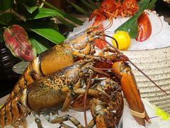 -都会尚膳·海鲜自助餐厅(重庆万豪酒店)
