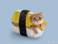 -岭南海晏楼(滨江东总店)