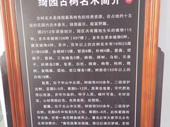-绮园景区