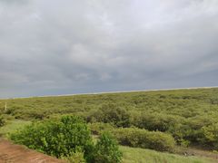 -北海金海湾红树林生态旅游区