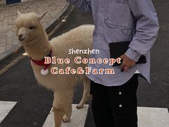 -Blue Concept Cafe&Farm·關於藍