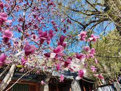 -潭柘寺景区
