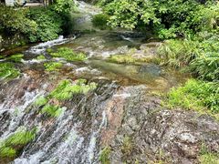 -雁荡山大龙湫景区