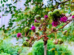 -苏州河梦清园环保主题公园