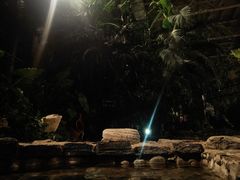 -中家鑫园温泉酒店鑫悦汤泉