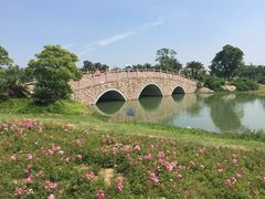 -瑶湖郊野森林公园