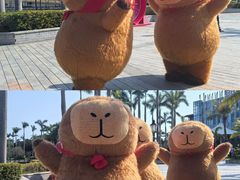 -珠海海泉湾度假区