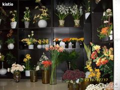 -双季花艺园艺市场(浦东店)