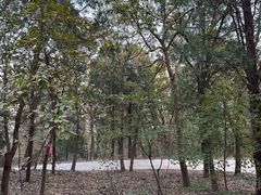 -北京西山国家森林公园