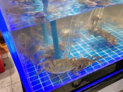 -锅儿欢海鲜火锅烤肉自助餐(东港凯虹店)
