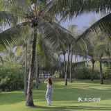 🌴 三亚艾迪逊· 私人沙滩边的椰林也太好拍了