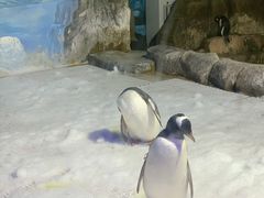 -成都浩海立方海洋公园