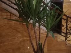 -益健·足疗汗蒸SPA(芙蓉广场店)
