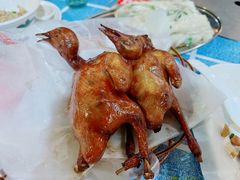 -石岐乳鸽村(桥观坊南四巷店)