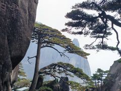 -黄山风景区