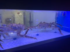 -澜棠海鲜(余姚阳明古镇店)