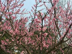 -桤木河湿地公园